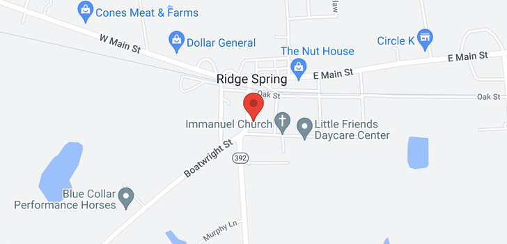 map of 209 Green Street, Ridge Spring, SC 29129